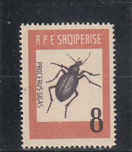 Albania  Scott#  662  MNH  (1063 Beetle)