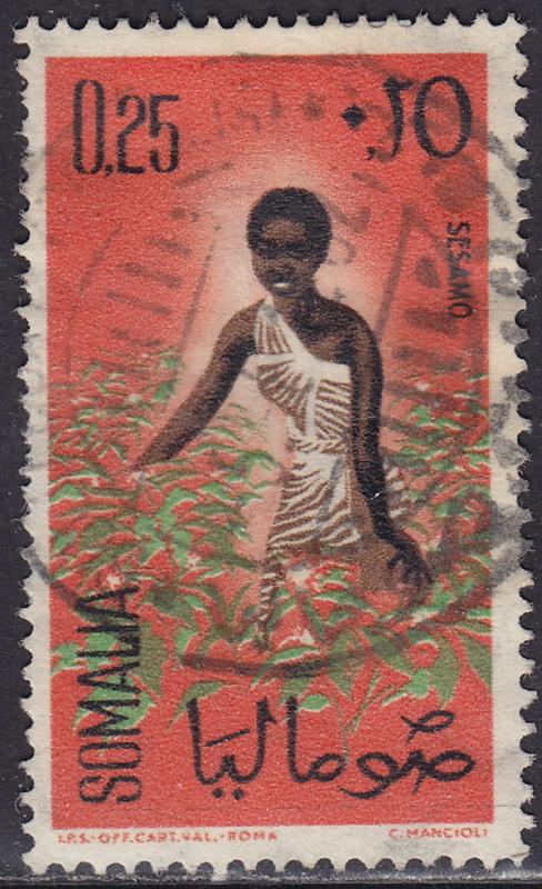 Somalia 253 USED 1961 Sesame