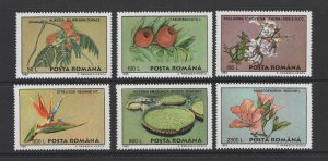 Romania #4043-48  (1995 Bucharest Botanical Garden set) VFMNH CV $2.85