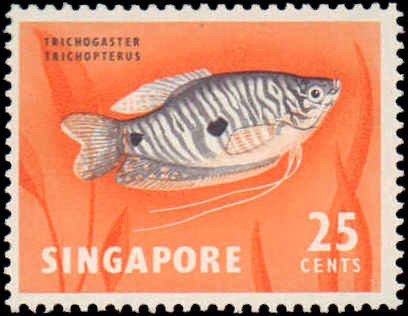 Singapore #53-59, Complete Set(7), 1962, Marine Life, Never Hinged