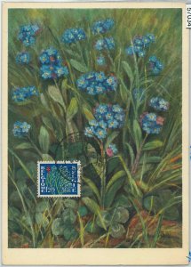 57034 - BELGIUM - POSTAL HISTORY: MAXIMUM CARD 1951 - FLOWERS-