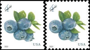 #5652 - 5653 2022 Blueberries Sheet & coil set/2 - MNH