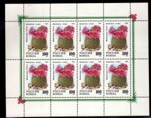 Russia Scott 6197a Cactus Flower miniture sheet CV$7.50