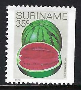 Suriname 515a MNH Z9134