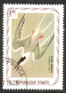 Bird, Tern, Haiti Used