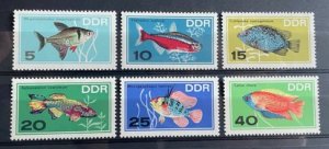 (370) DDR 1966 : Sc# 865-870 TROPICAL FISH - MNH VF