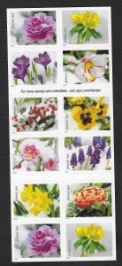 US #5736 (60c) Flowers - Snow Beauty ~ MNH
