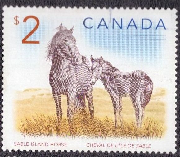 Canada - 1692 2005 Used