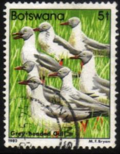 Botswana - 1982 Birds 5t Gull Used SG 519