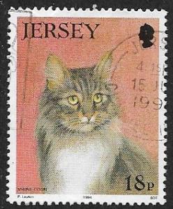 Jersey # 661 - Cats - Maine Coon - used