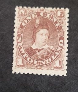 Stamps Newfoundland Scott #41 hinged