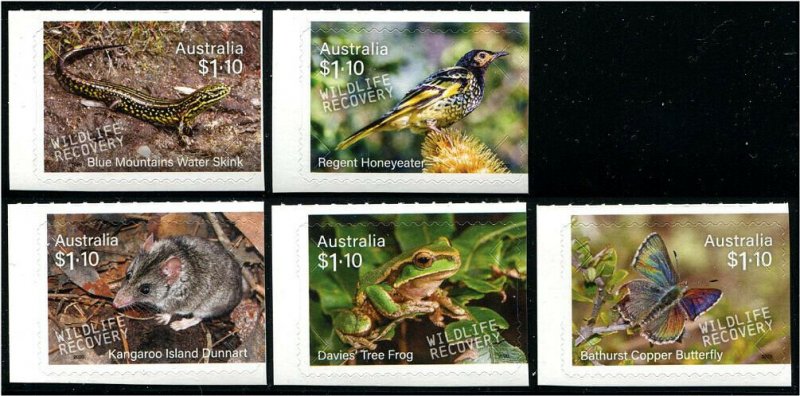 HERRICKSTAMP NEW ISSUES AUSTRALIA Wildlife Recovery Butterfly, Frog