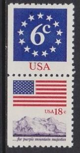 US 1893c Flag MNH