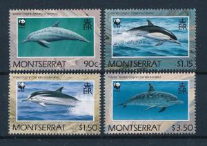 [53828] Montserrat 1990 Marine life WWF Dolphins MNH