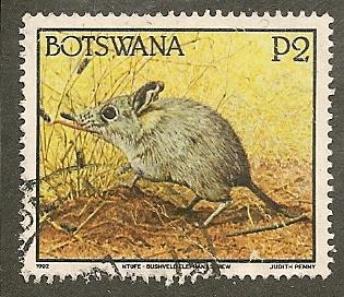 Botswana     Scott  533     Animal  , Fauna  Used