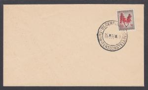 South Africa Sc 255 on 1963 Bloemfontein Show cover, unaddressed. Flower.