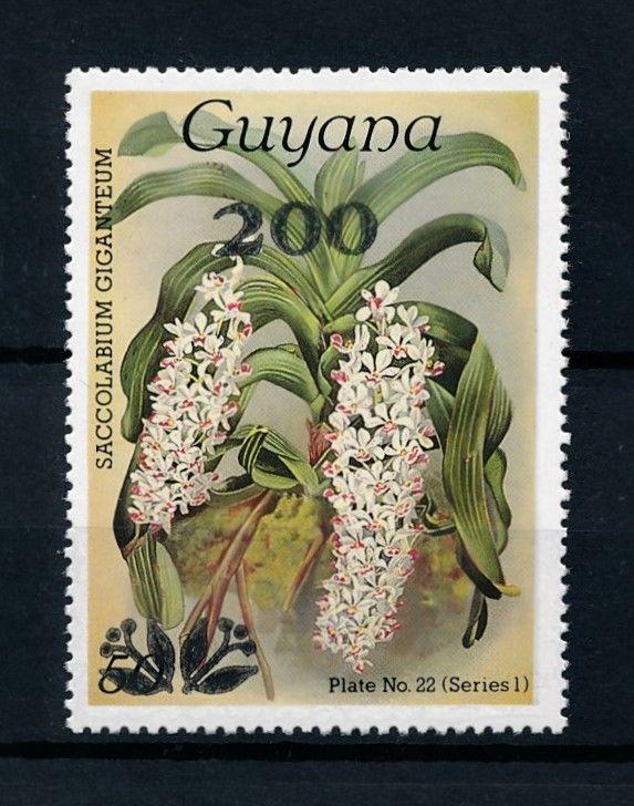 [79767] Guyana 1987 Flora Flowers Blumen Orchids with OVP MNH