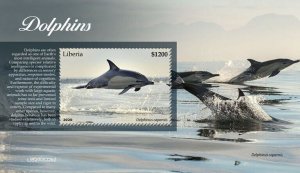 Liberia 2020 MNH Marine Animals Stamps Dolphins Long-beaked Dolphin 1v S/S II