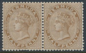 Bermuda SG 19  SC#  16 *  MLH Stone shade  pair see details /scans