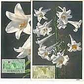 12312A - BERMUDA - FLOWERS - 2 Maximum Card: 1952-