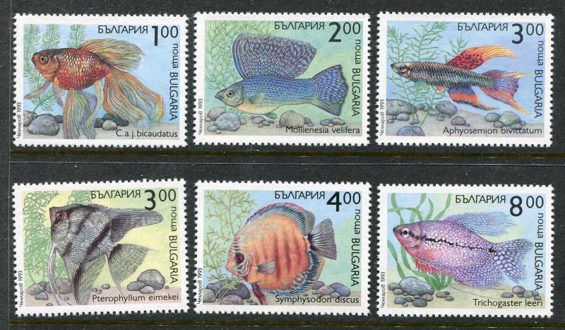 Bulgaria 3766-3771 MNH. Marine Life Fish 1993. x29343