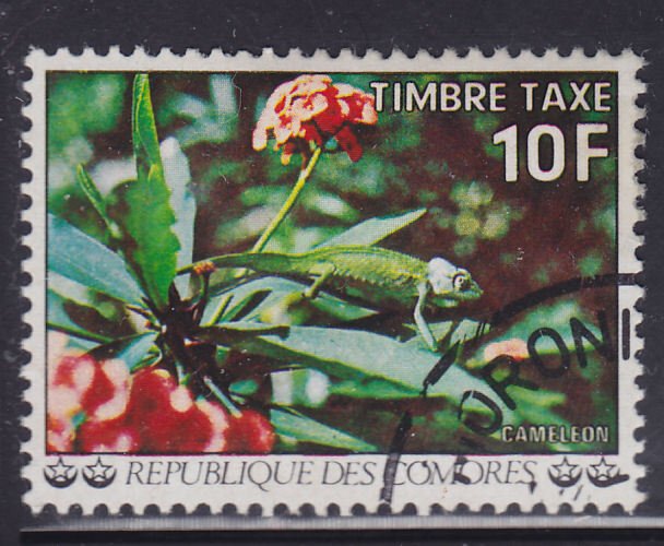 Comoro Islands J9 Flowers 1977