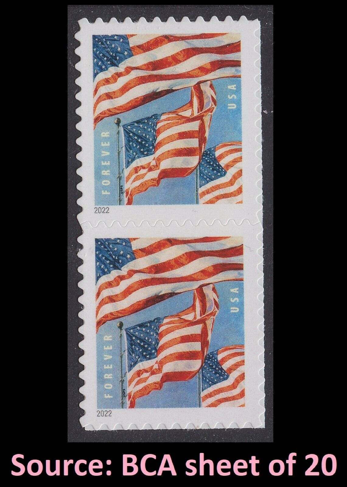 5654 - 2022 First-Class Forever Stamp - Flags (Banknote