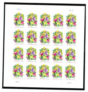 US  5850  Wedding Blooms 92c - Forever Pane of 20 - MNH - 2024 - B11111 UR