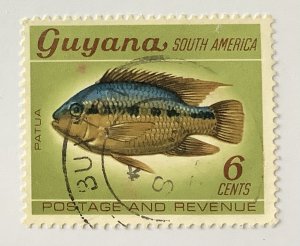 Guyana 1968 Scott 43 used - 6c, Fish,  Patua