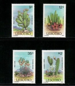 Lesotho 1986 - Desert Plants - Cactus - Set of 4 Stamps - Scott #516-9 - MNH