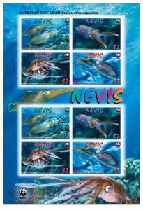 NEVIS SHEET MARINE LIFE CARIBBEAN REEF SQUID