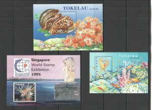 B0943 Tokelau Fauna Fish & Marine Life Seahorses Seashells !!! 3Bl Mnh