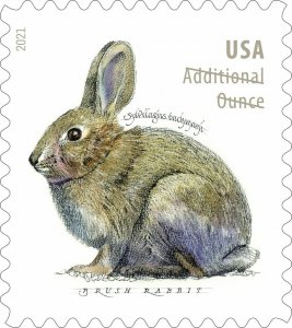 TangStamps:US #5544 2021 Brush Rabbit Forever Stamp