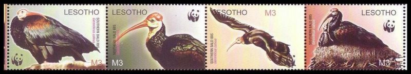 Lesotho WWF Southern Bald Ibis Birds Strip of 4v head left 2004 MNH