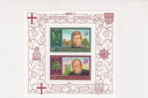 Ascension Island Sir Winston Churchill MNH Historic Mini Stamps Sheet Ref 27102 