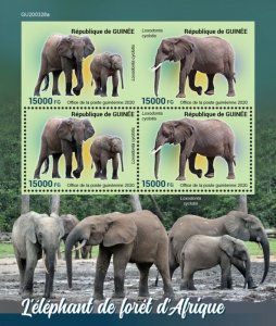 GUINEA - 2020 - African Forest Elephants - Perf 4v Sheet - Mint Never Hinged