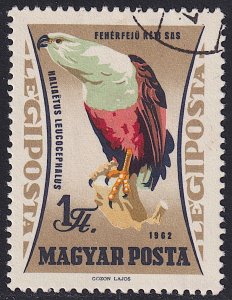 Hungary - 1962 - Scott #C232 - used - Bird African Fish Eagle