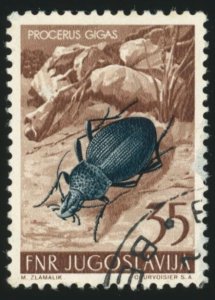 YUGOSLAVIA Sc 405 VF/USED- 1954 35d -  Black Beetle - Well Centered