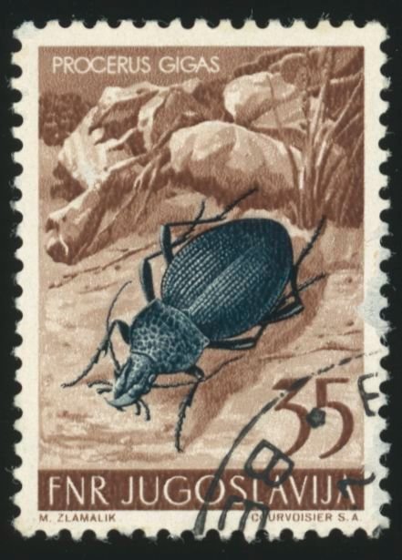 YUGOSLAVIA Sc 405 VF/USED- 1954 35d -  Black Beetle - Well Centered