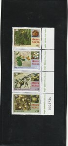 Nepal   Fruits   and   Nuts  761   MNH