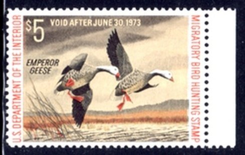 US Stamp #RW39 MNH - Pair of Emperor Geese Taking Flight Right Margin Single