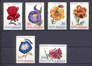 Romania - 1971 - Mi. 2940-45 (Flowers) - MNH - AE004