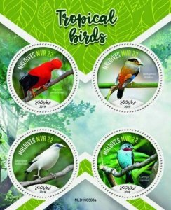 Z08 MLD190308a MALDIVES 2019 Tropical birds MNH ** Postfrisch