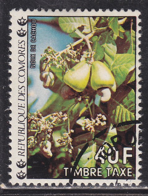 Comoro Islands J13 Flowers 1977