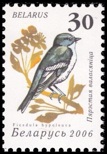 Belarus 2006 Sc 581-592 Bird Wheatear Tit Flycatcher Linnet Whitethroat CV $7.45