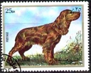 Dog, Sharjah stamp used