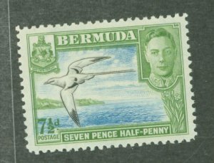 Bermuda #121D
