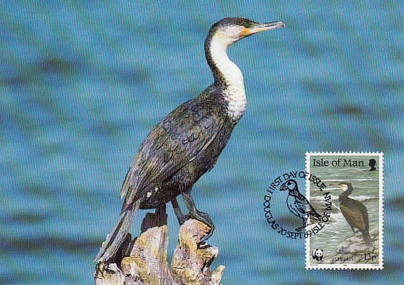 Isle of Man 1989 Maxicard Sc #401 13p Great cormorant WWF