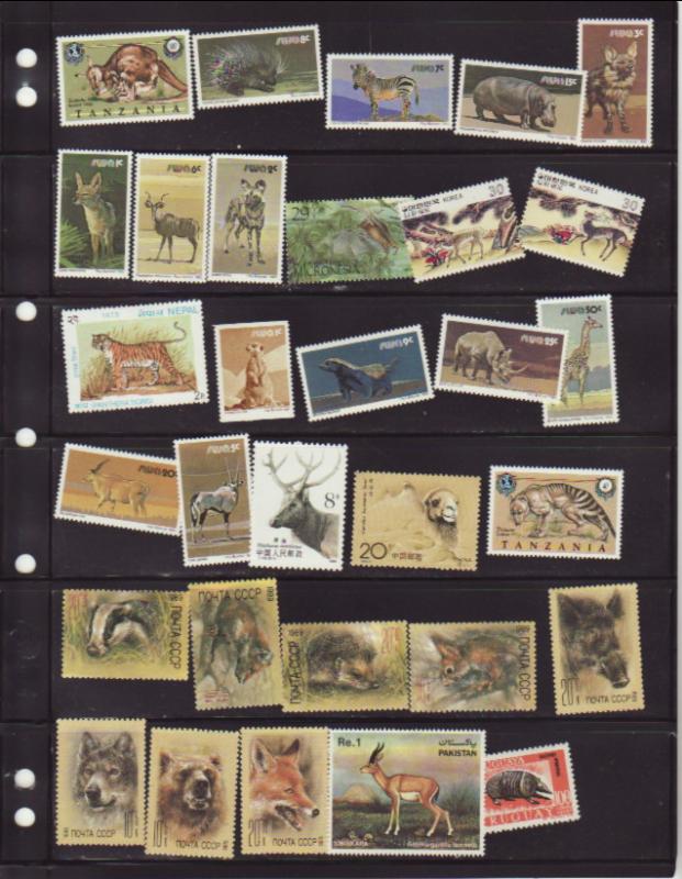 Lot of all different Mammals MNH