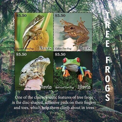 Nevis 2020 - Tree Frogs Amphibian - Sheet of 4 Stamps - Scott #2010 - MNH